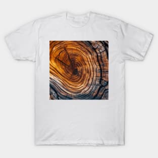 Luxury Antique Wood Pattern Art T-Shirt